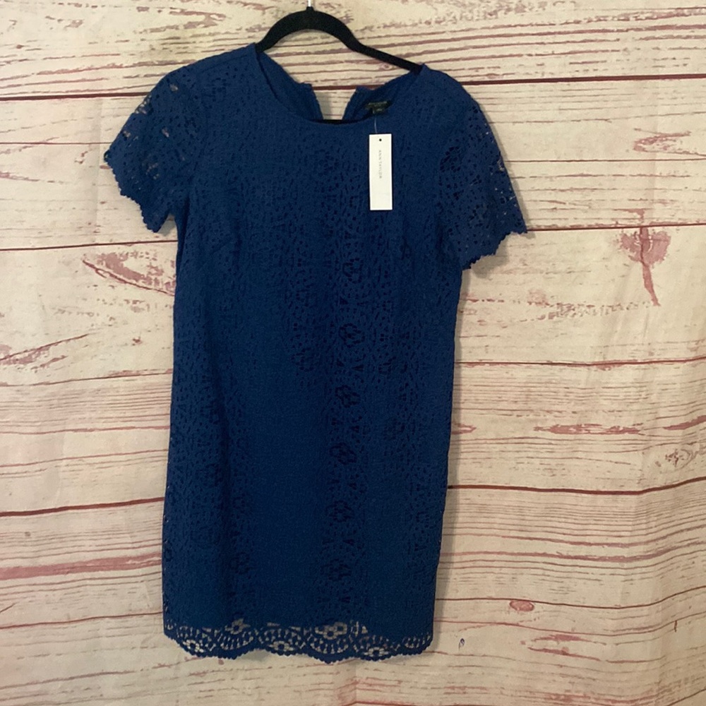 Ann Taylor Petit dress